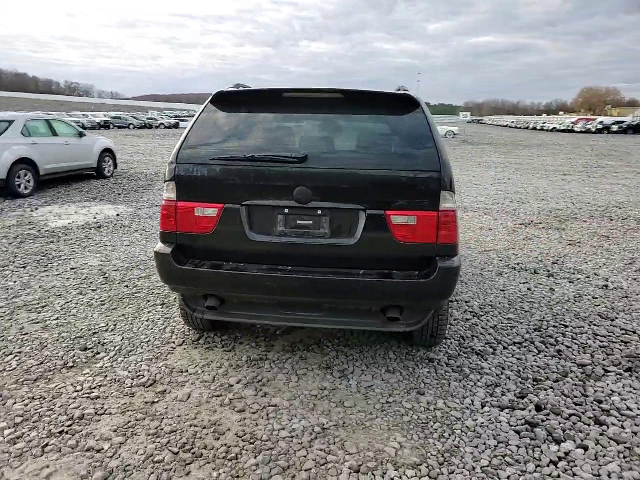 Фото: 5UXFA13514LU21488