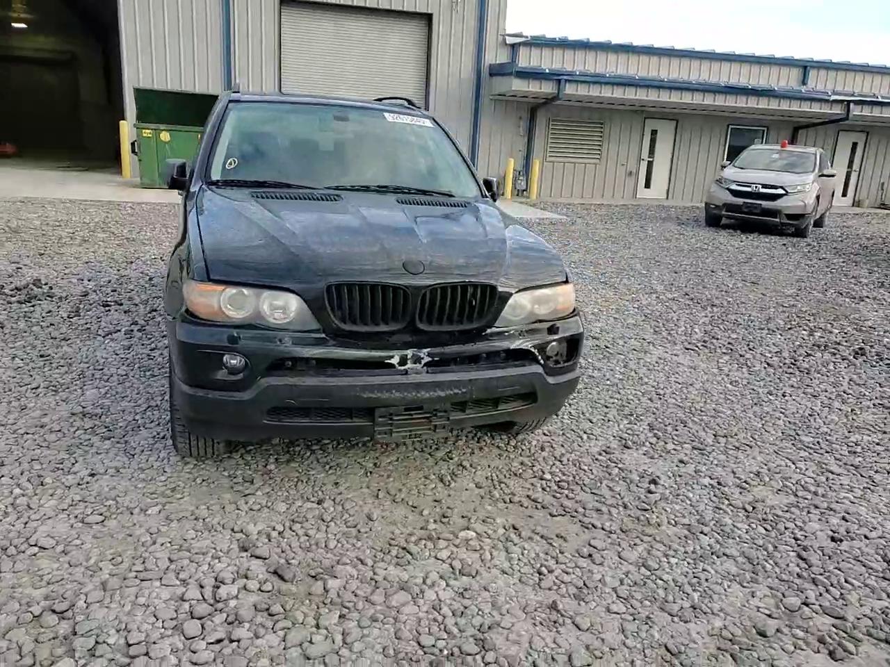 Фото: 5UXFA13514LU21488