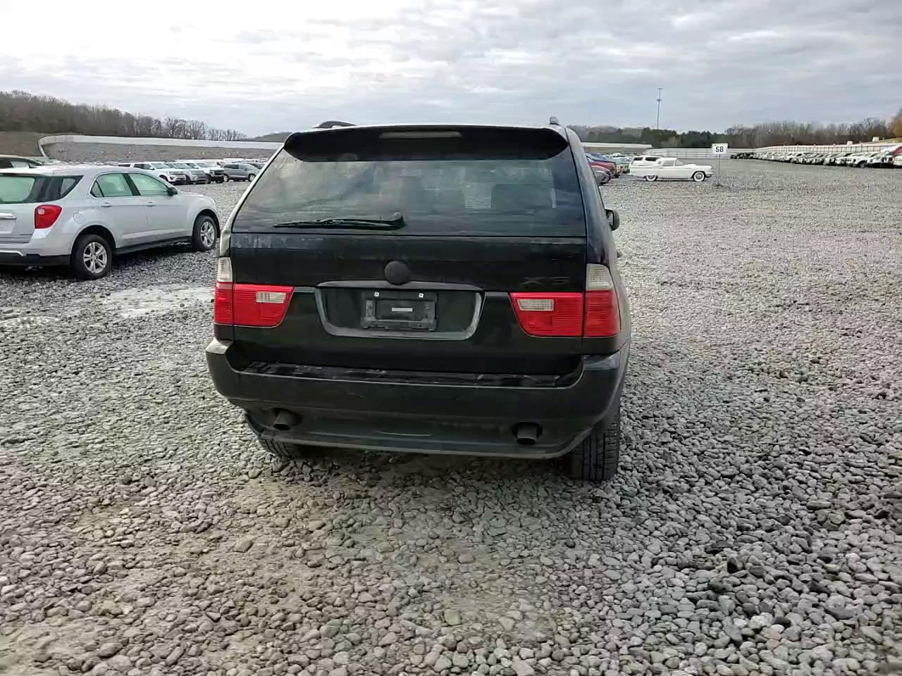 Фото: 5UXFA13514LU21488