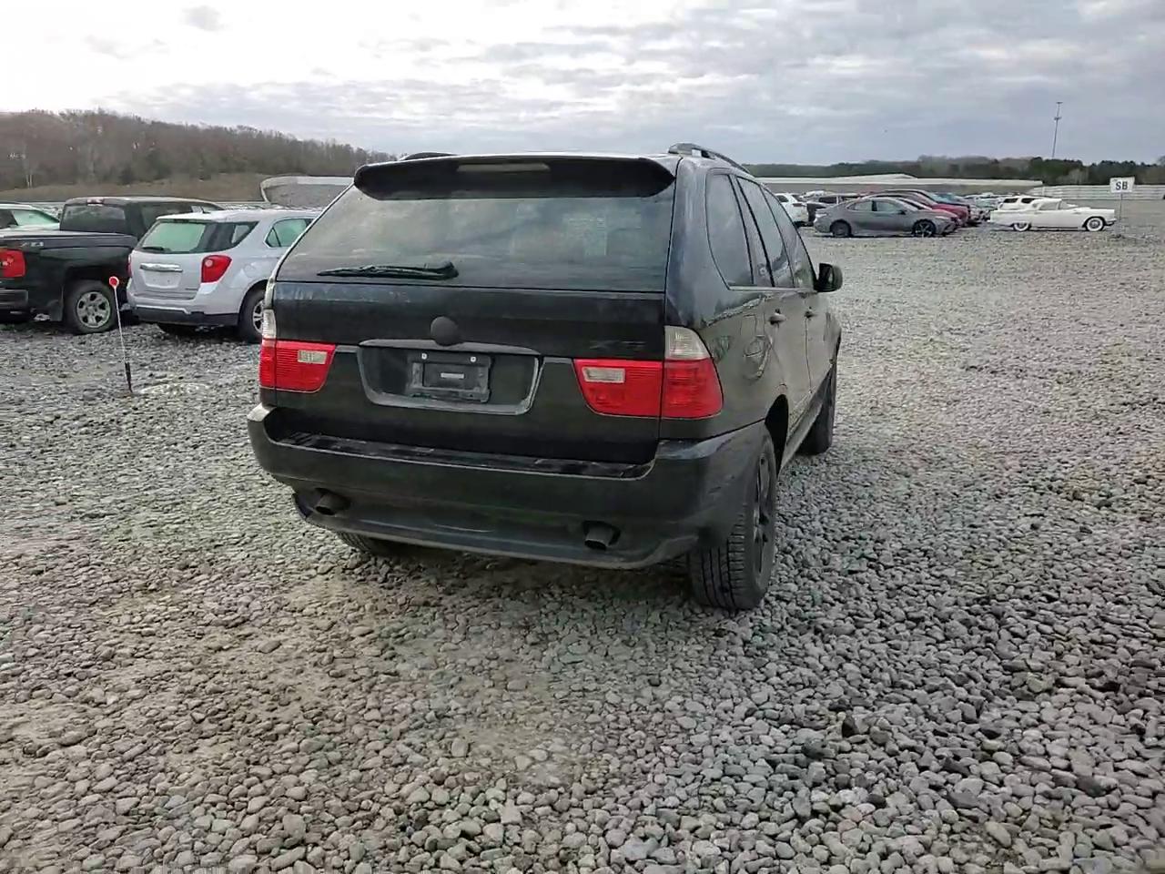 Фото: 5UXFA13514LU21488