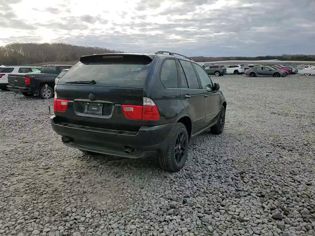 Фото: 5UXFA13514LU21488