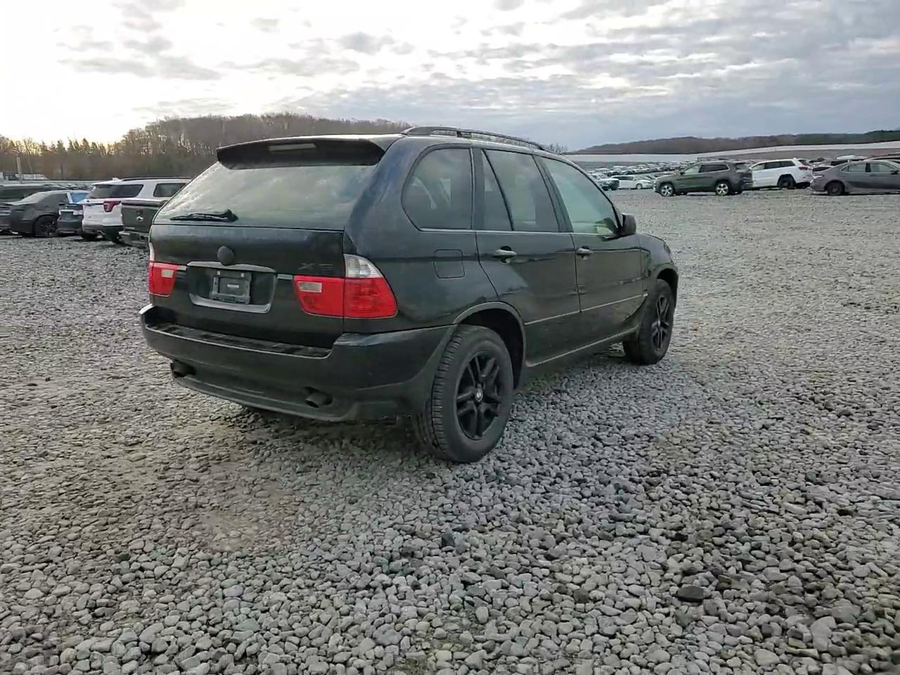 Фото: 5UXFA13514LU21488