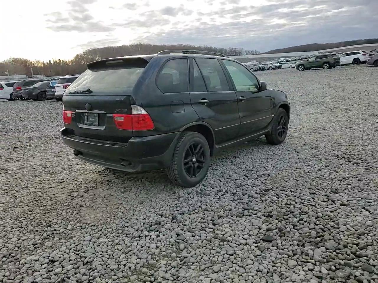 Фото: 5UXFA13514LU21488