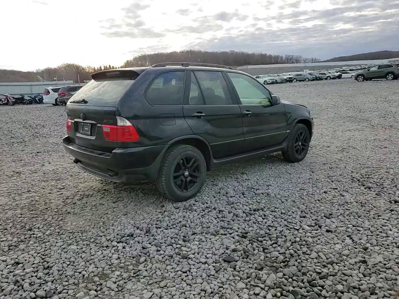 Фото: 5UXFA13514LU21488