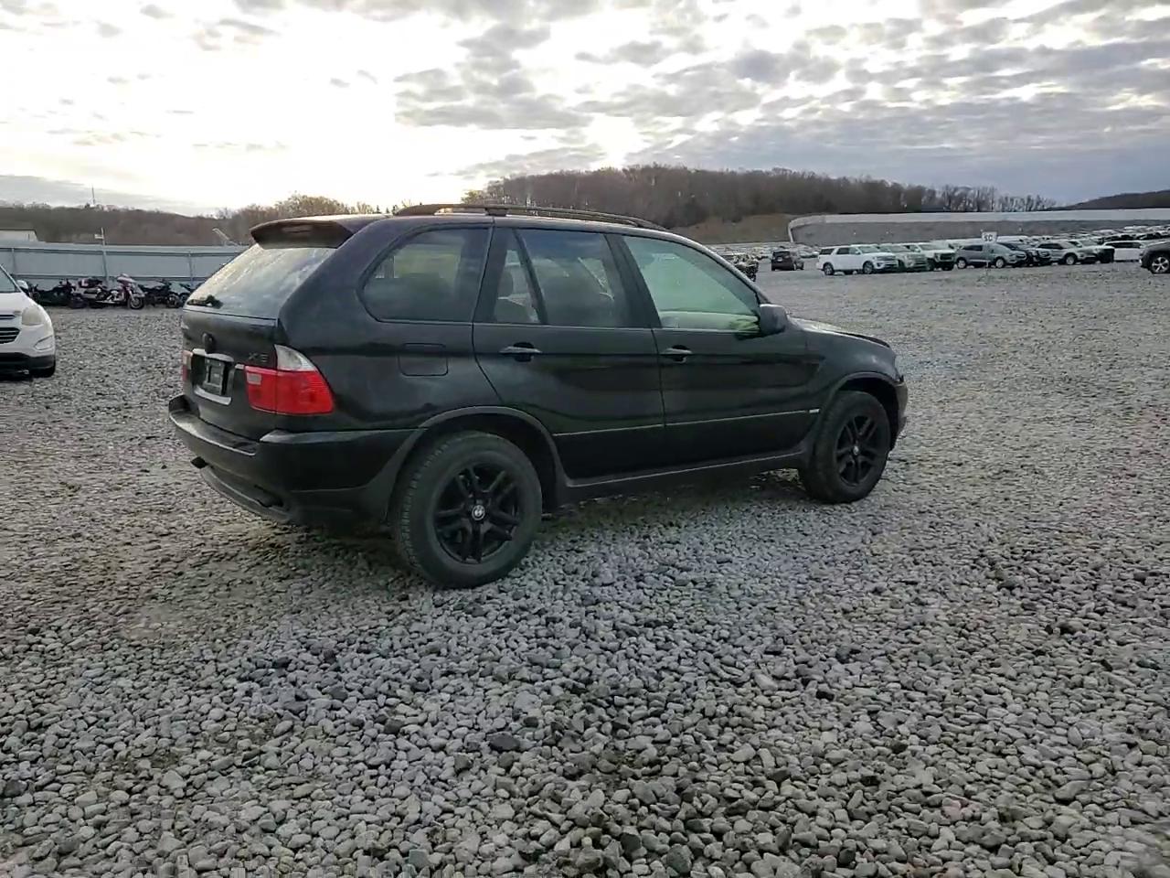 Фото: 5UXFA13514LU21488