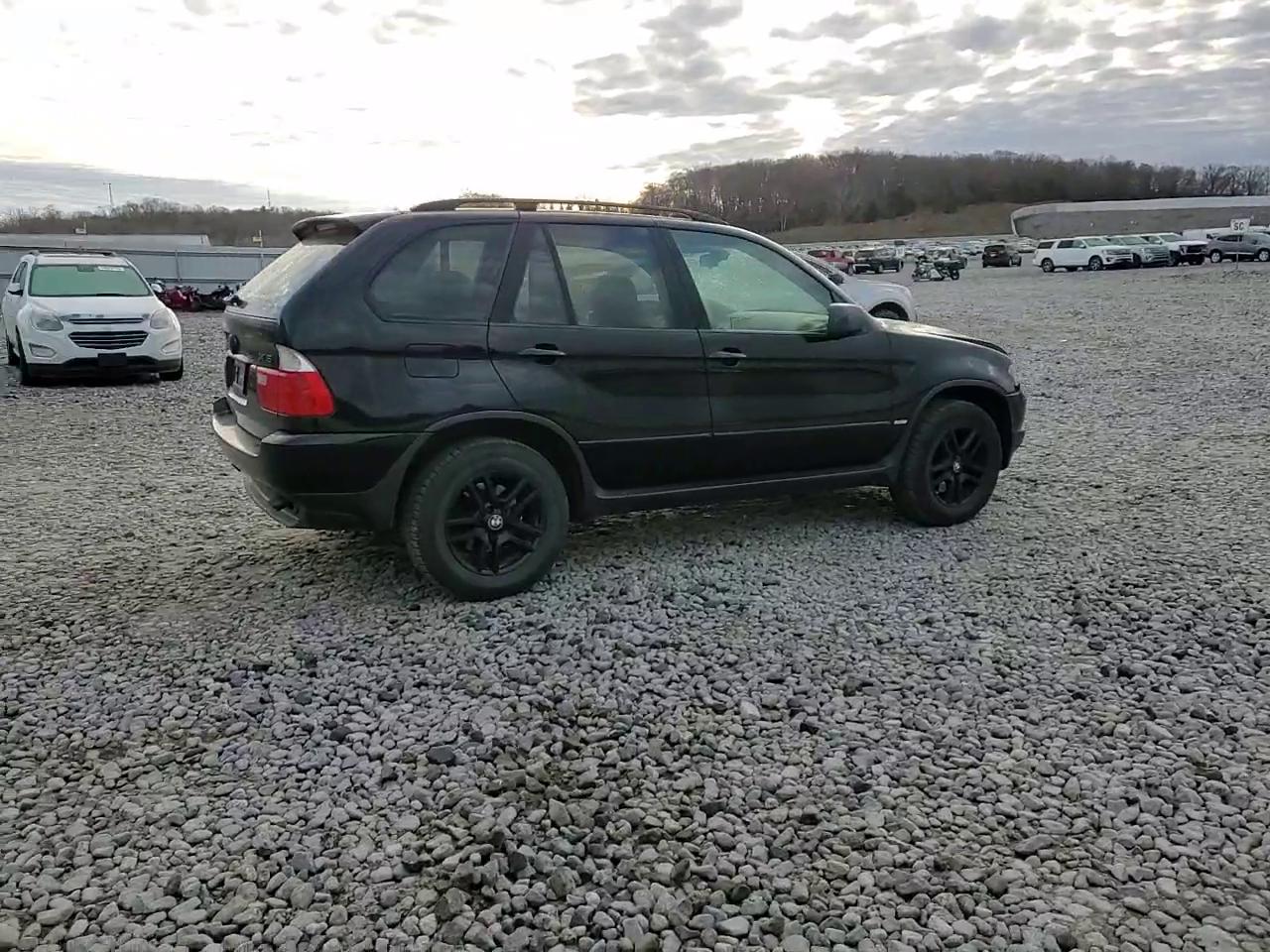 Фото: 5UXFA13514LU21488