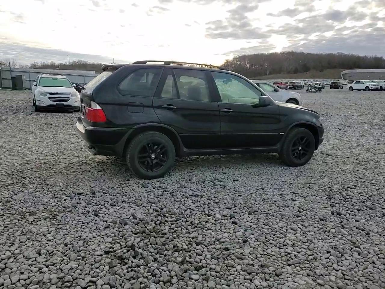 Фото: 5UXFA13514LU21488