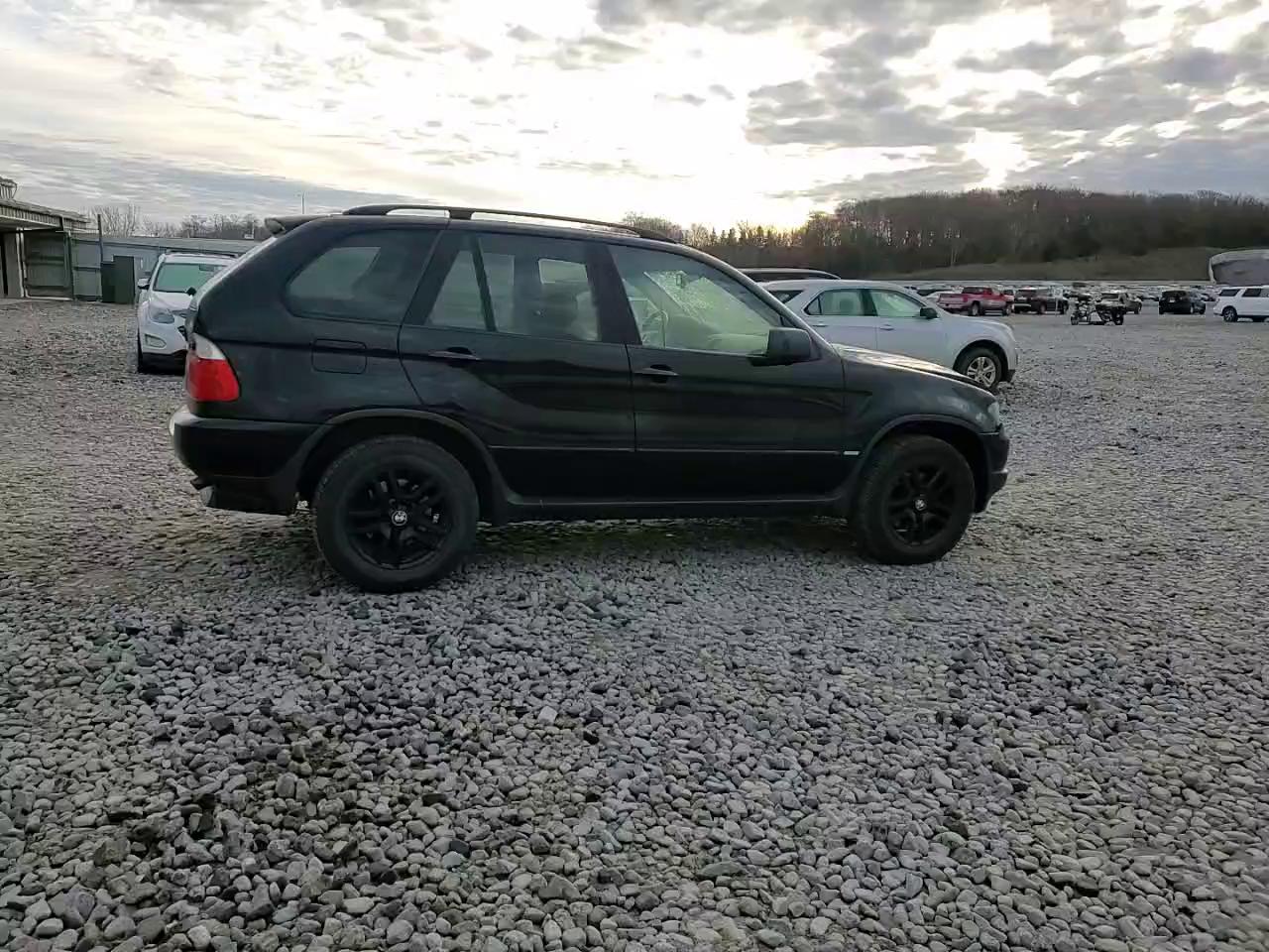 Фото: 5UXFA13514LU21488