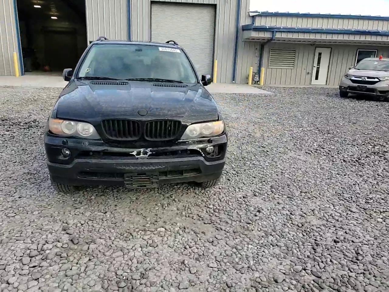 Фото: 5UXFA13514LU21488