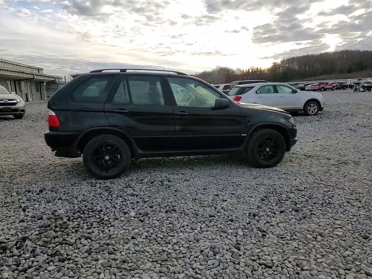 Фото: 5UXFA13514LU21488