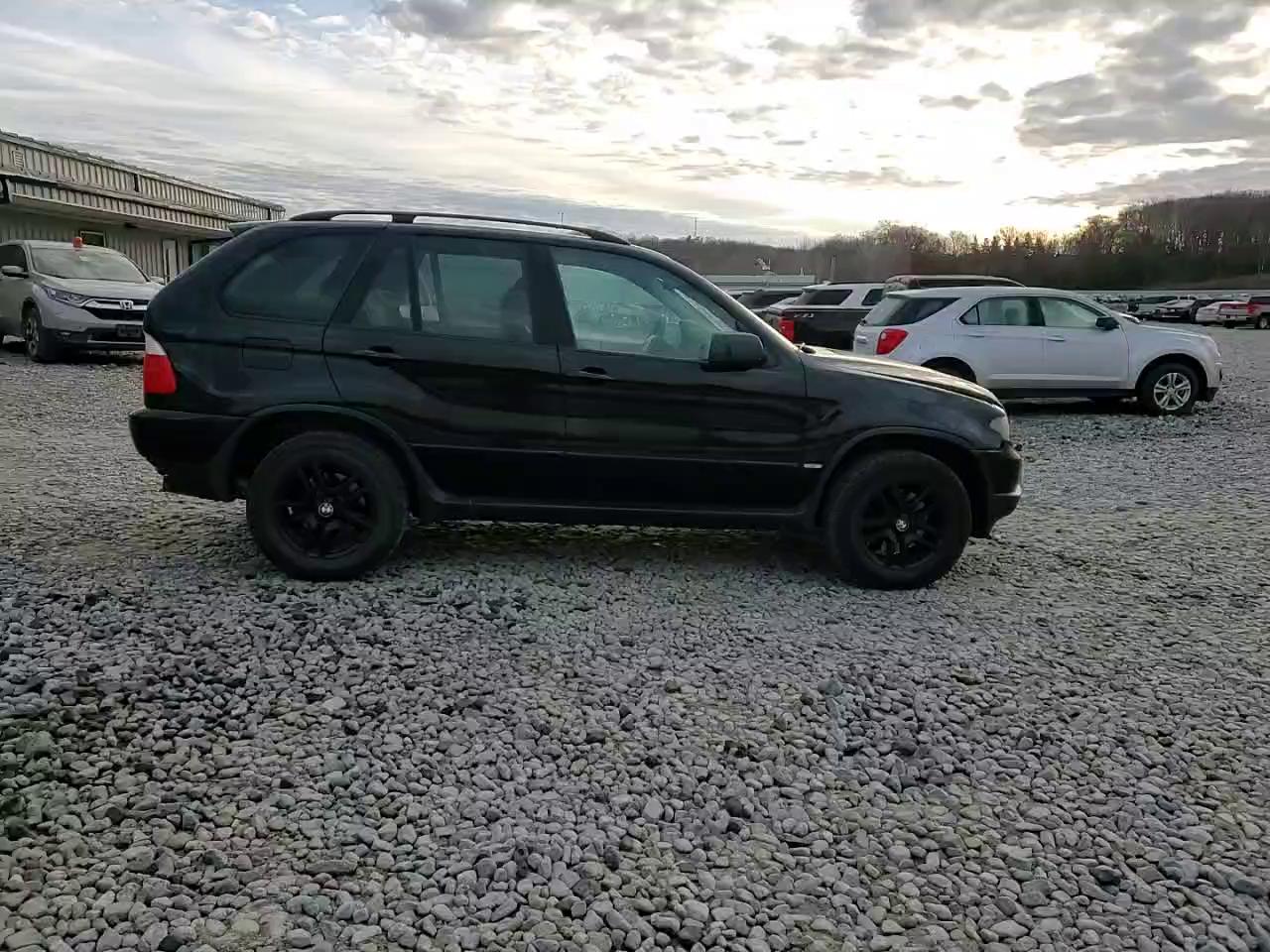 Фото: 5UXFA13514LU21488