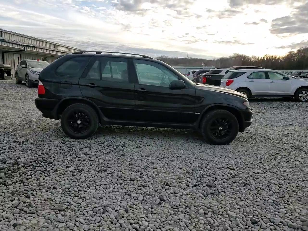 Фото: 5UXFA13514LU21488