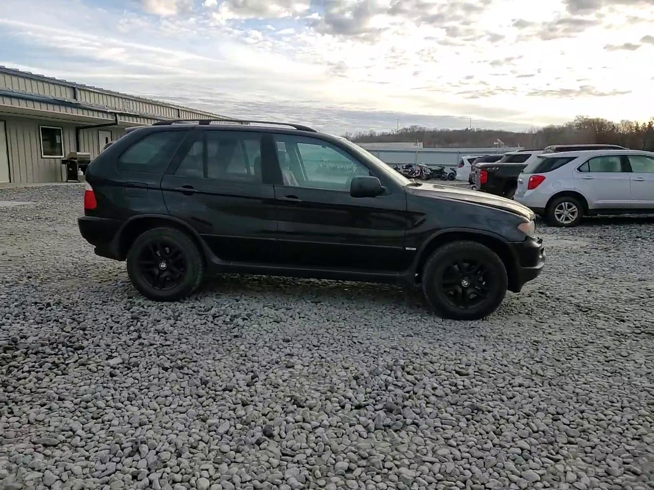 Фото: 5UXFA13514LU21488