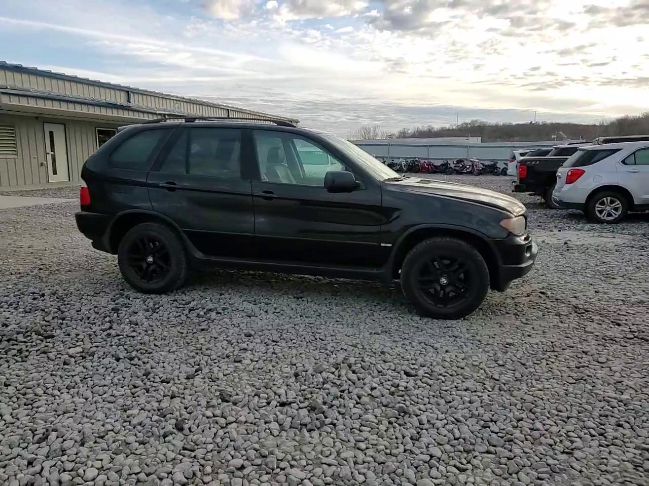 Фото: 5UXFA13514LU21488