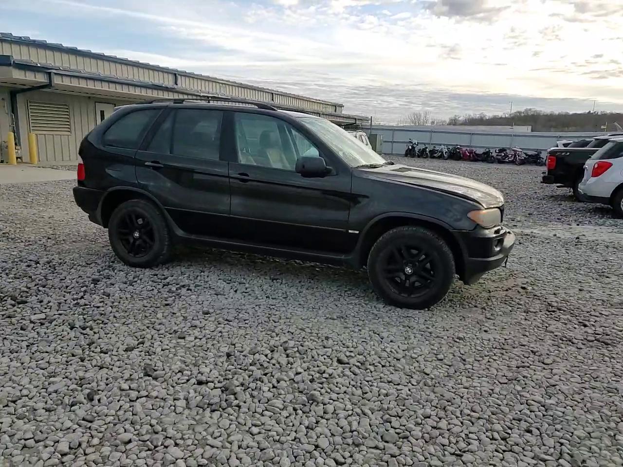 Фото: 5UXFA13514LU21488