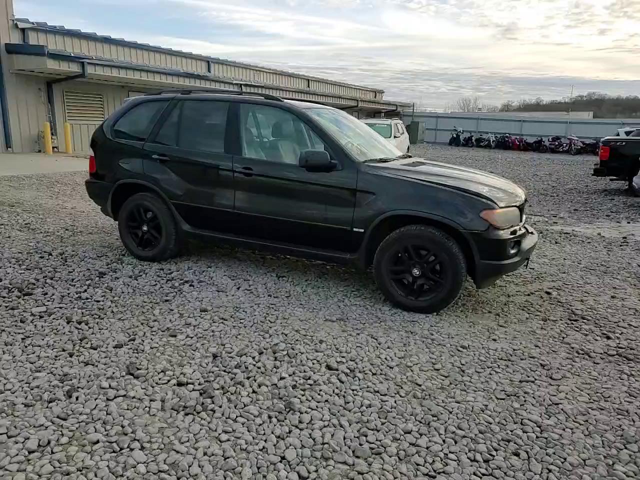 Фото: 5UXFA13514LU21488