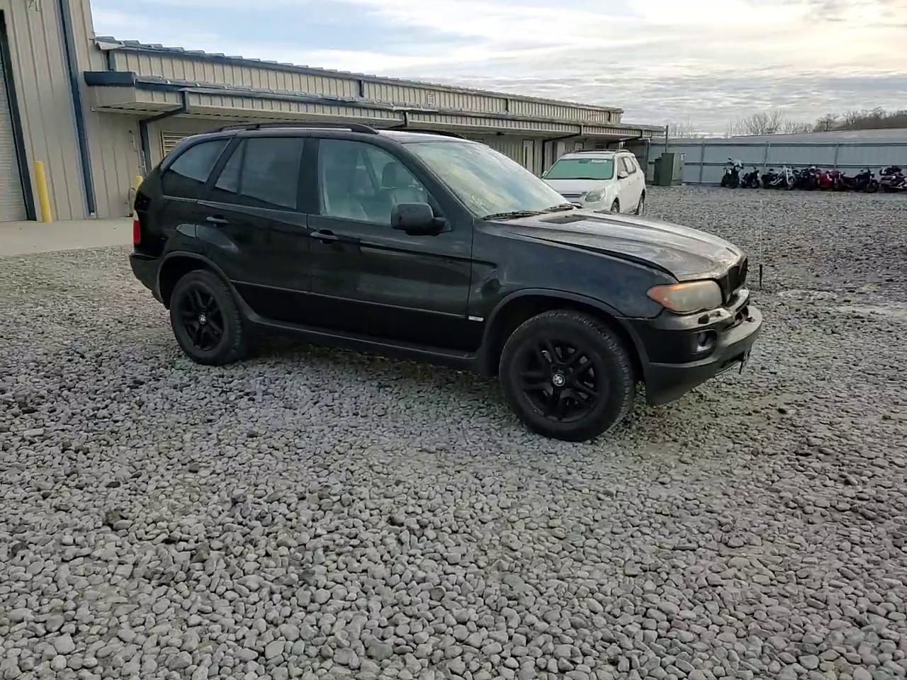 Фото: 5UXFA13514LU21488