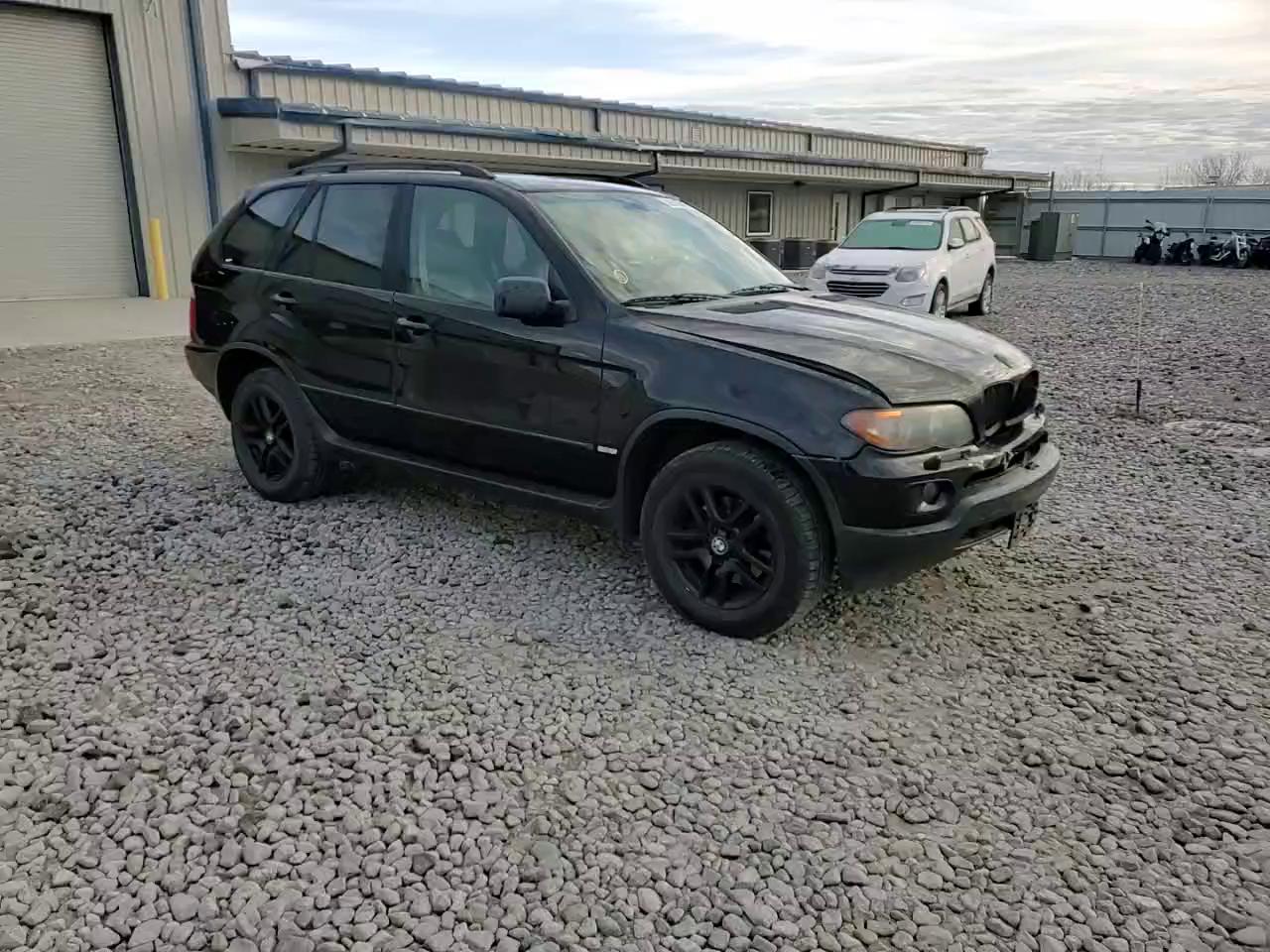 Фото: 5UXFA13514LU21488