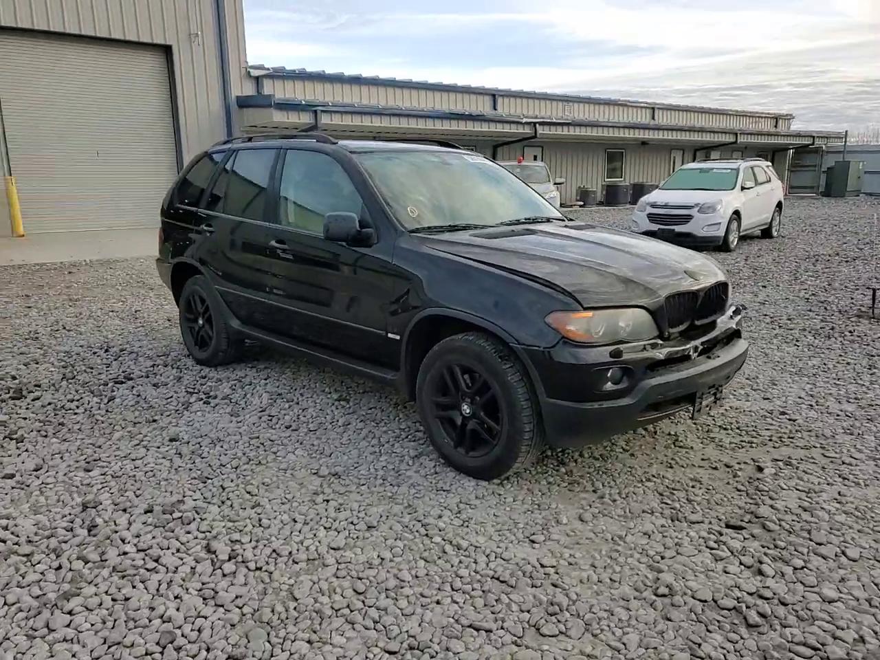 Фото: 5UXFA13514LU21488