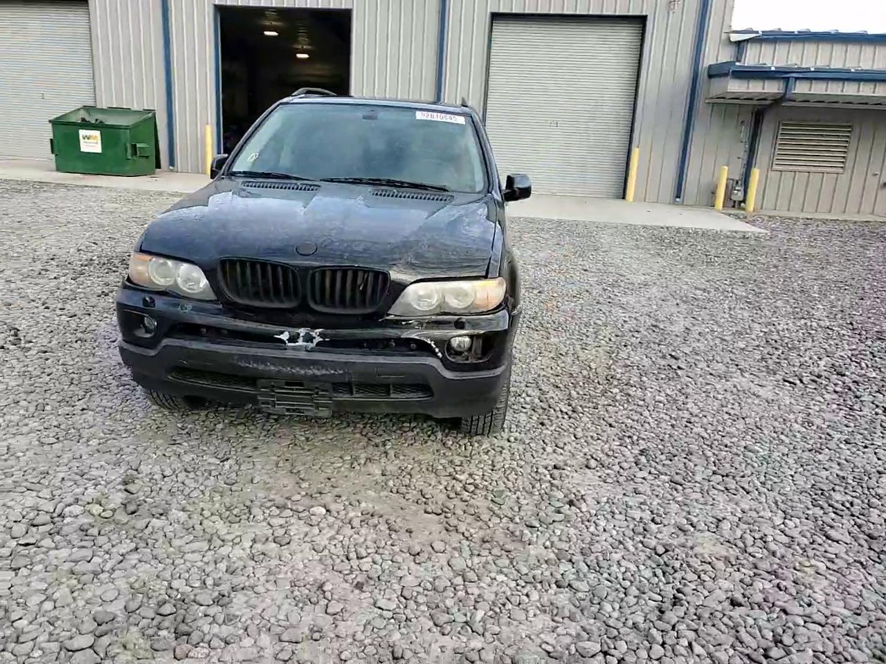 Фото: 5UXFA13514LU21488