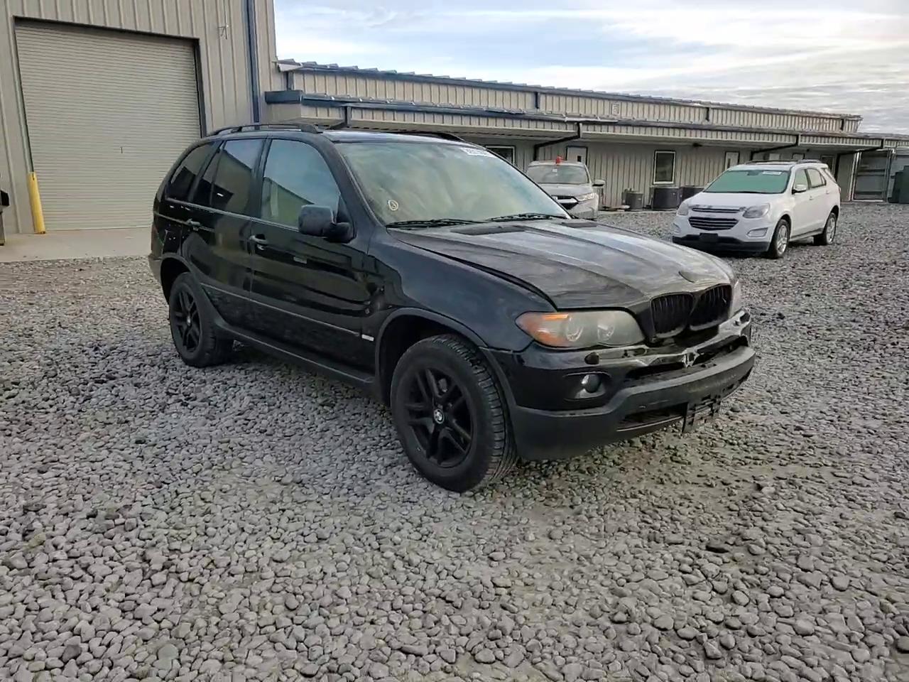 Фото: 5UXFA13514LU21488