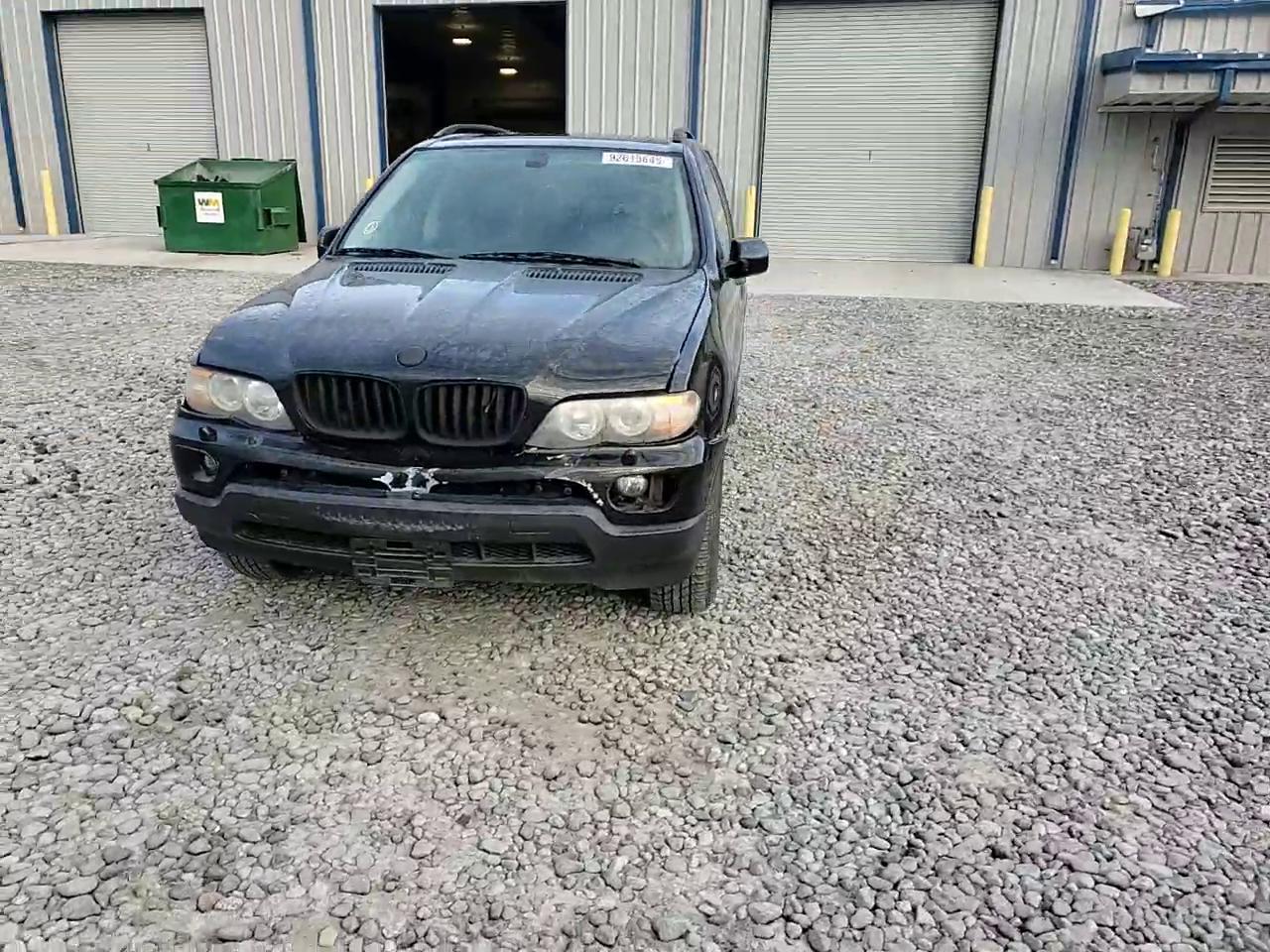 Фото: 5UXFA13514LU21488