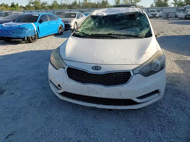 2016 Kia Forte Lx VIN: KNAFK4A60G5594243 Lot: 91272635