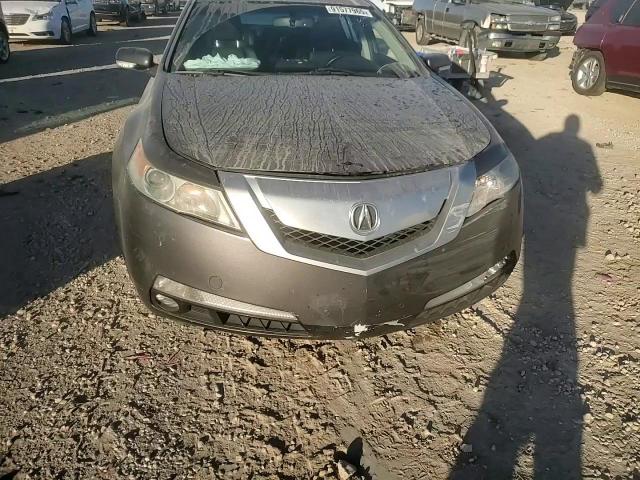 2009 Acura Tl VIN: 19UUA86599A026508 Lot: 91577965