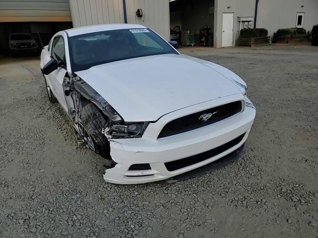 2013 Ford Mustang VIN: 1ZVBP8AM0D5259758 Lot: 91918065