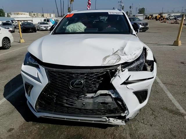 2021 Lexus Nx 300 Base VIN: JTJSARBZ7M2194636 Lot: 91079665