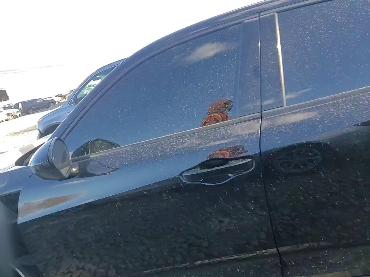 Фото: 19UDE4H35RA005406