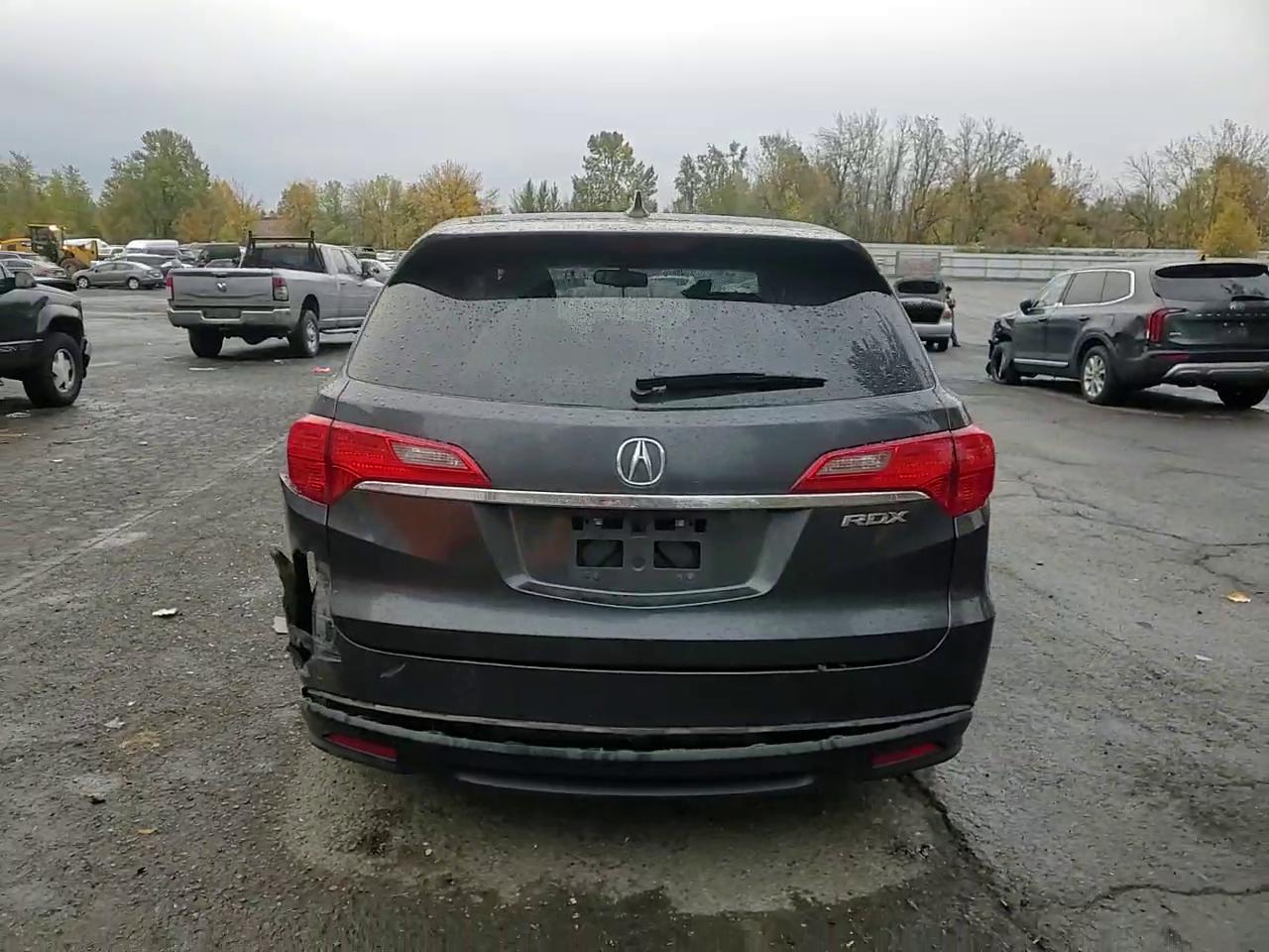 Фото: 5J8TB3H51DL016674