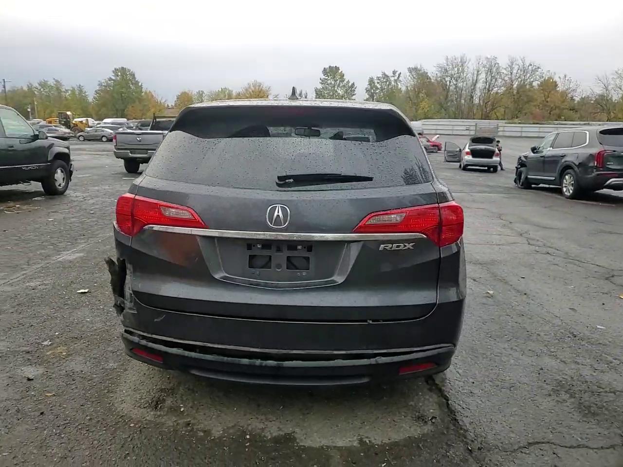 Фото: 5J8TB3H51DL016674