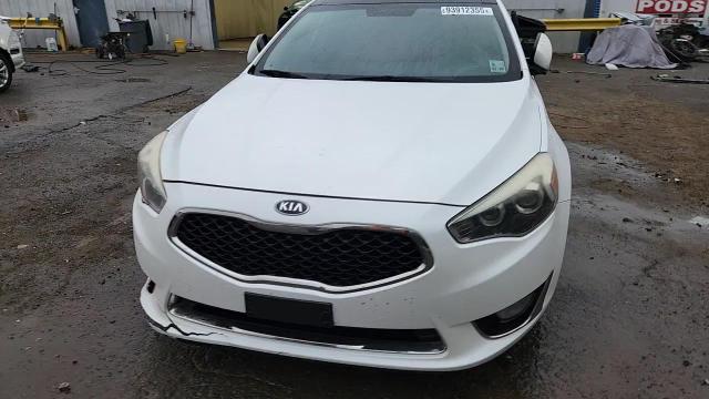 2015 Kia Cadenza Premium VIN: KNALN4D75F5191954 Lot: 93912355