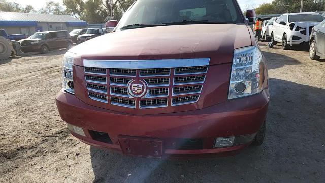 2014 Cadillac Escalade Luxury VIN: 1GYS4BEF4ER169831 Lot: 91374735