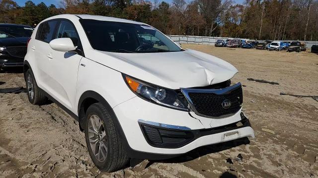 2014 Kia Sportage Lx VIN: KNDPBCAC5E7667485 Lot: 92088205