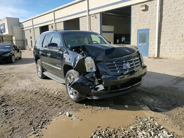 2012 Cadillac Escalade Luxury VIN: 1GYS4BEF2CR318864 Lot: 91365895