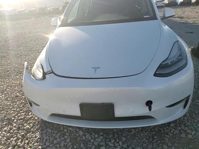 2022 Tesla Model Y VIN: 7SAYGDEE1NF481303 Lot: 91895945