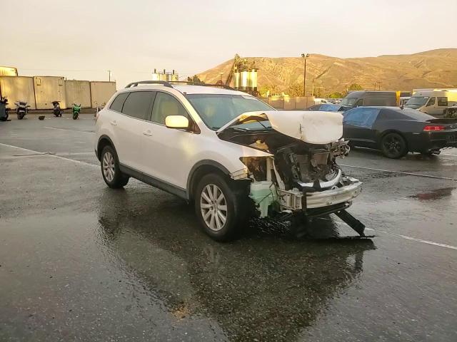 2009 Mazda Cx-9 VIN: JM3TB28V090167983 Lot: 93153575