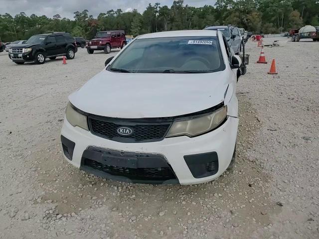 2013 Kia Forte Ex VIN: KNAFU6A21D5649801 Lot: 91492065