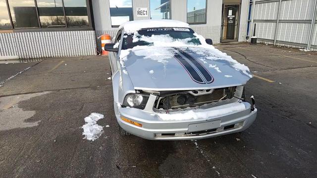 2006 Ford Mustang VIN: 1ZVFT80N565183531 Lot: 91849545