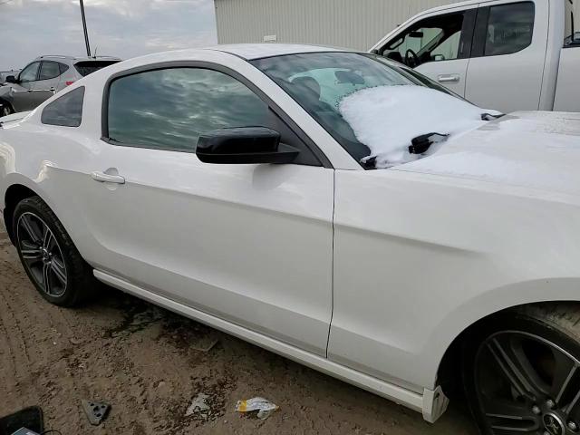 1ZVBP8AM9D5249293 2013 Ford Mustang