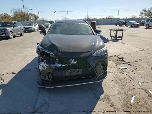2024 Lexus NX - Image 11