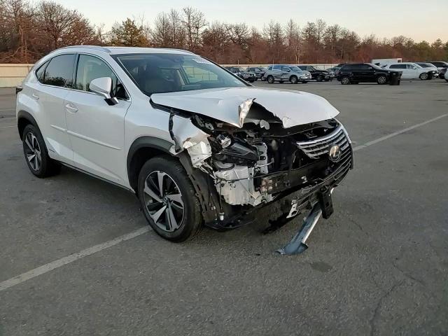 2021 Lexus Nx 300H Base VIN: JTJGJRDZ3M2155318 Lot: 84660224