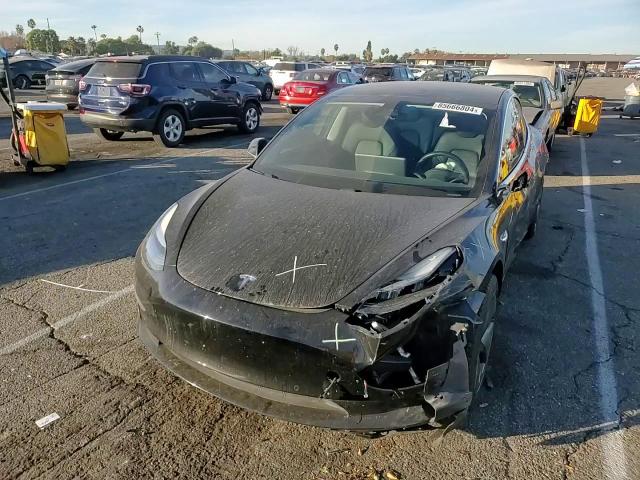 2019 Tesla Model 3 VIN: 5YJ3E1EA4KF305866 Lot: 85666804