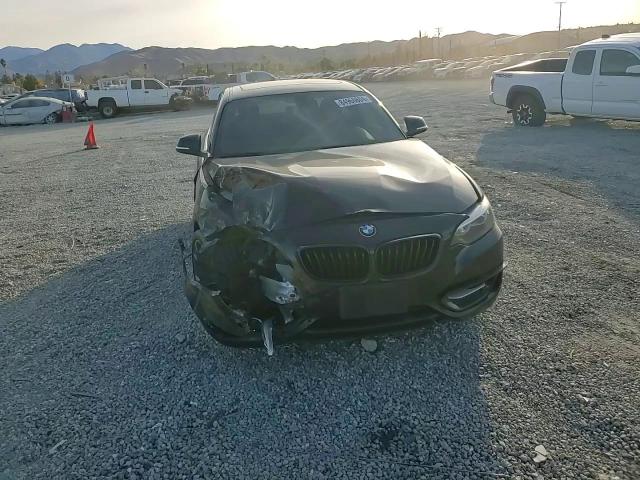 2017 BMW 230I VIN: WBA2F9C34H7A40232 Lot: 84966604