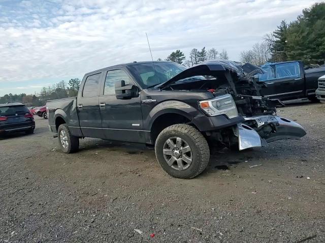 2014 Ford F-150 - Image 10