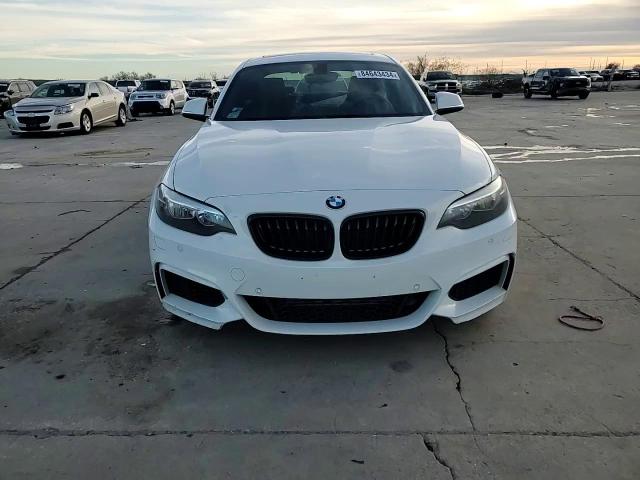 2016 BMW 228 Xi Sulev VIN: WBA1G9C52GV598856 Lot: 84643434