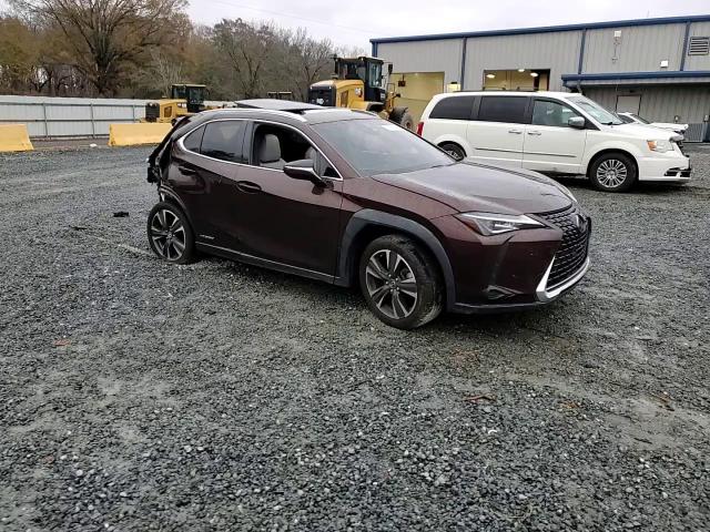 2020 Lexus UX - Image 11