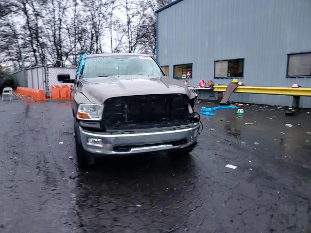 2009 Dodge Ram 1500 VIN: 1D3HV18T89S824250 Lot: 84921584